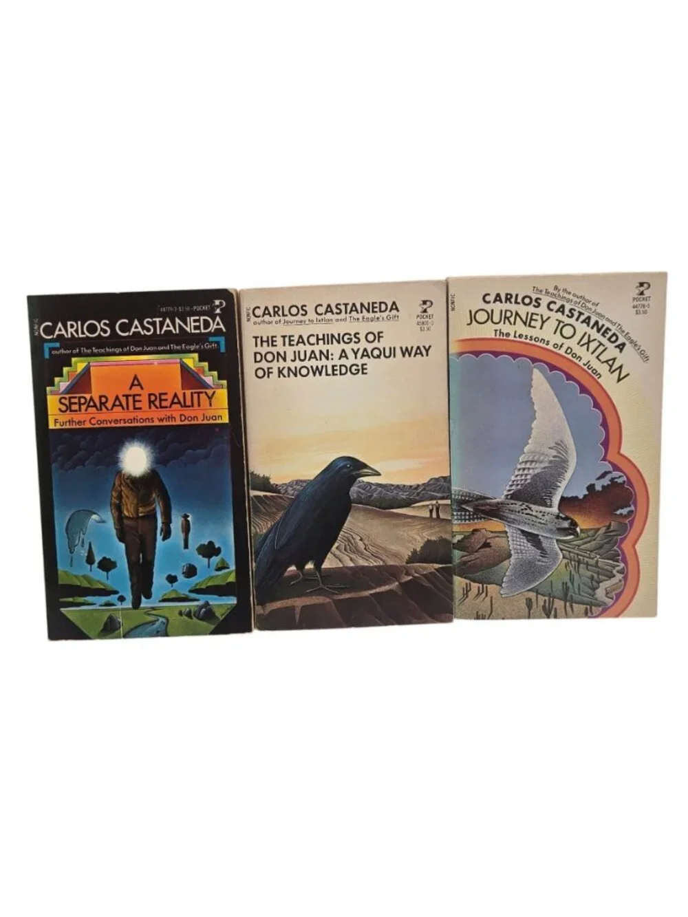 Carlos Castaneda Paperback Book Lot Of 3 Vintage 1970s Teachings Of Don Jaun